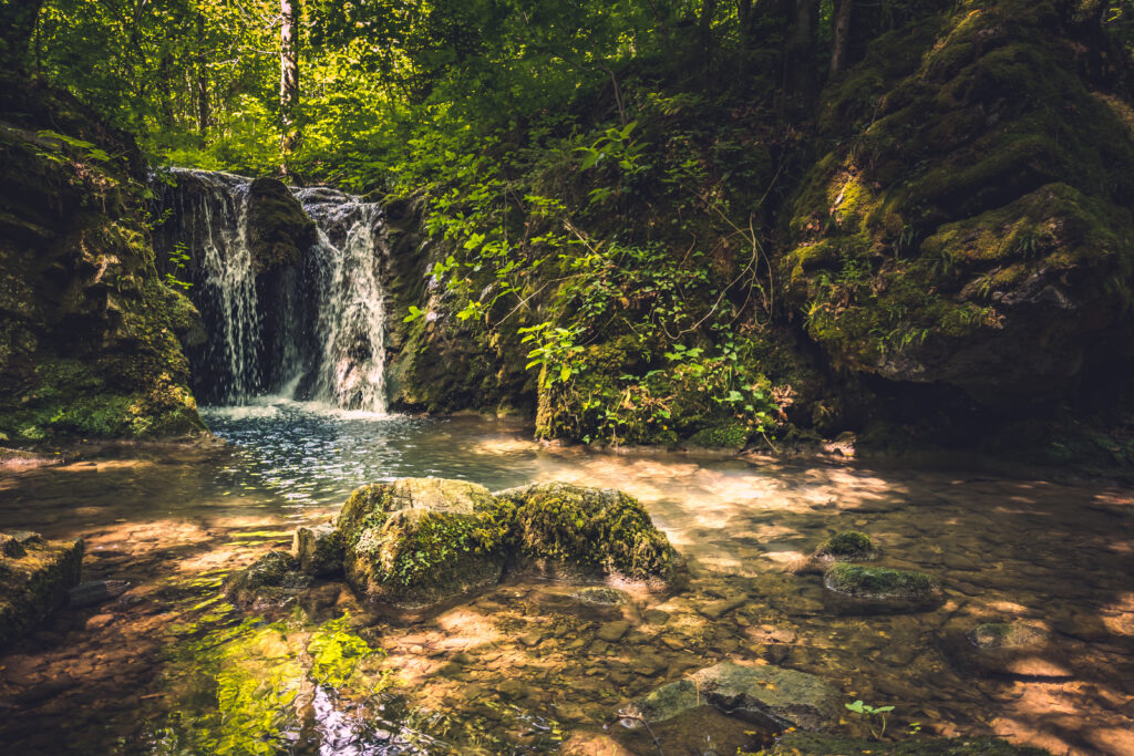 Tranquil waterfall cascading over mossy rocks in lush green forest nature wallpaper background