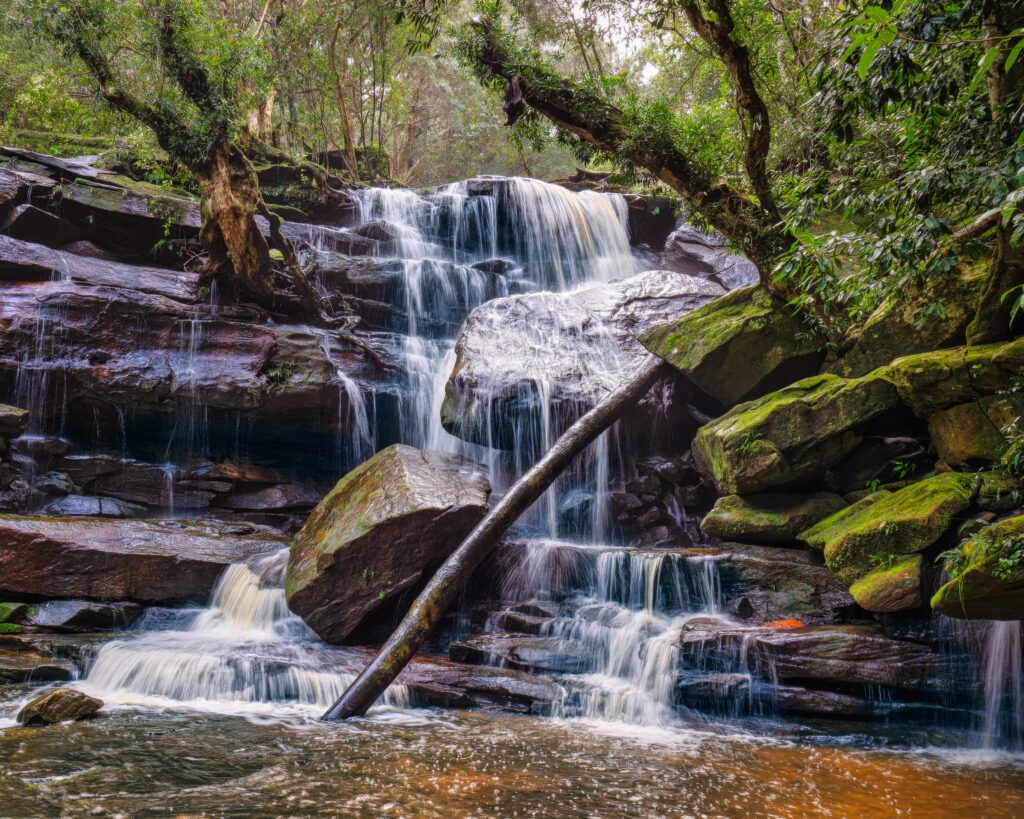 Serene waterfall flowing over rugged stones surrounded by lush green moss and vibrant trees Wallpaper