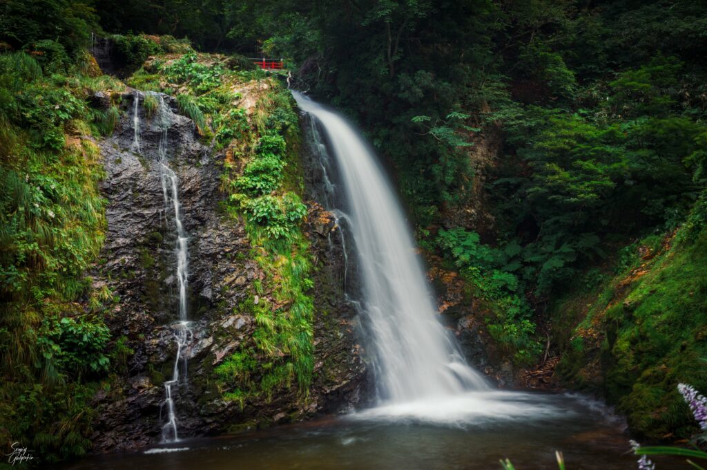 Majestic waterfall cascading by lush green trees and vibrant red bridge in serene landscape wallpaper