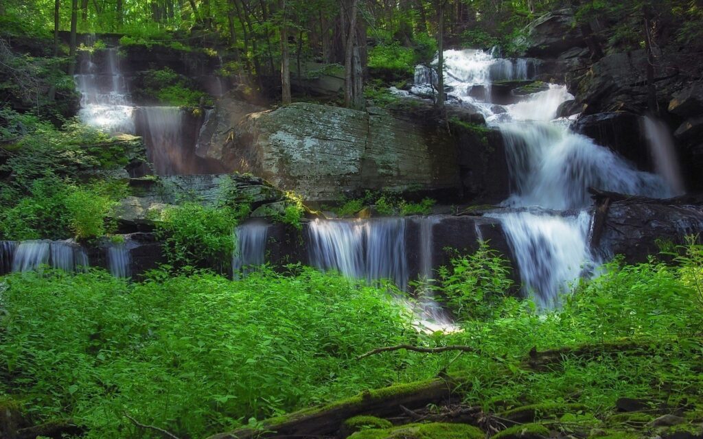 Serene waterfall cascading over dark rocks surrounded by lush green forest and vegetation Wallpaper