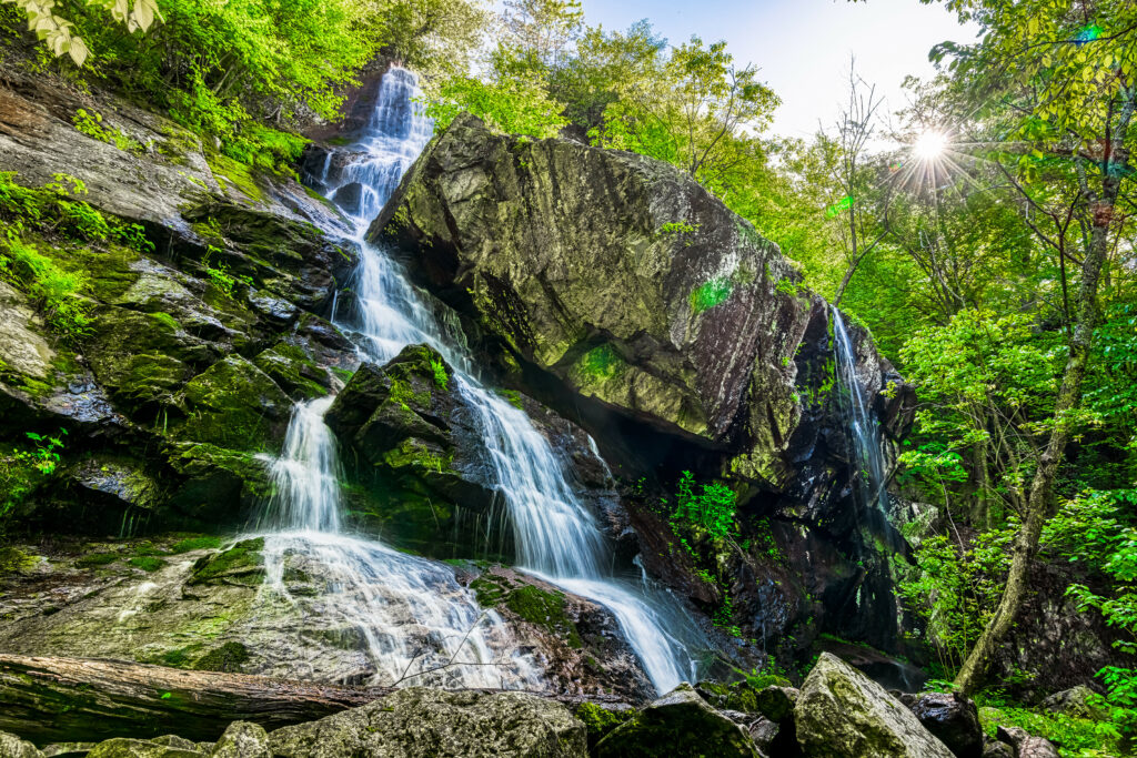 Serene waterfall cascading over dark rocks in lush green forest with sunlight filtering through trees Wallpaper