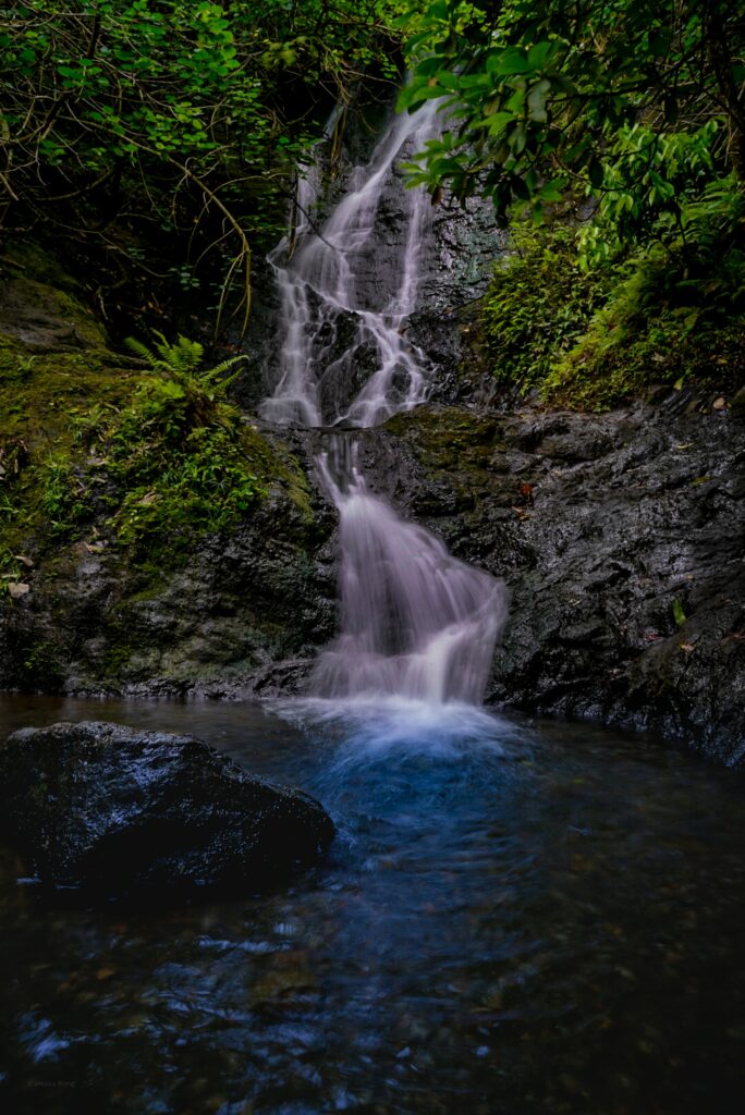 Serene waterfall cascading over dark rocks into tranquil river with lush green foliage wallpaper background