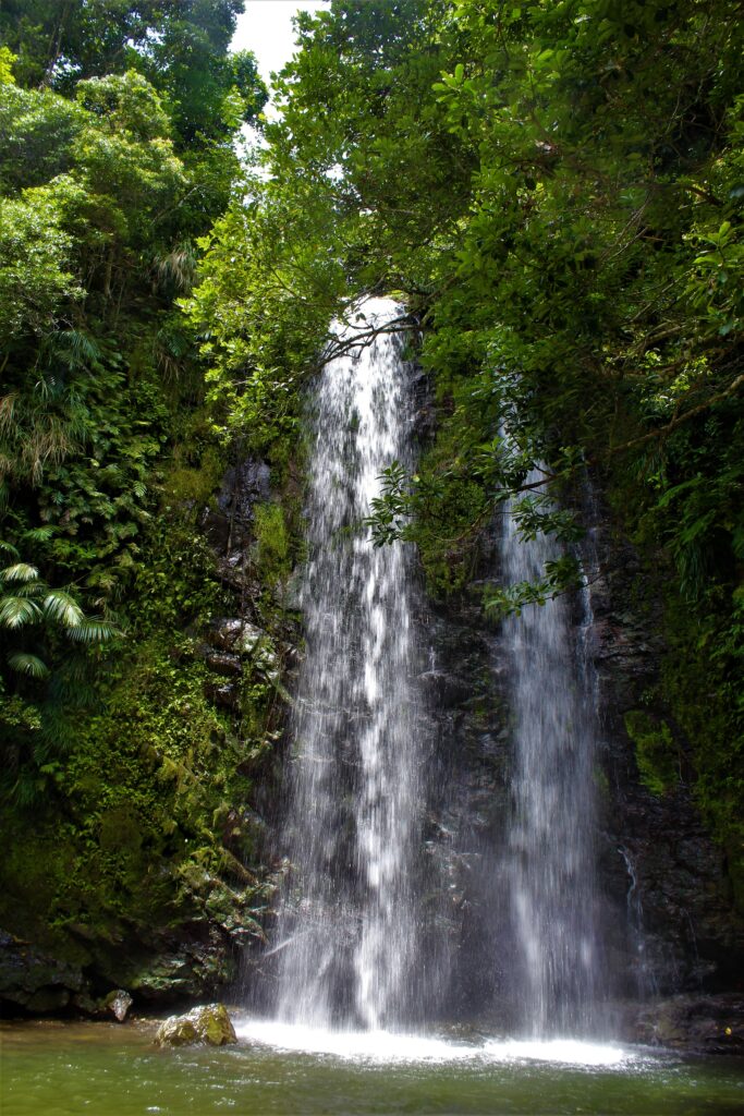 Serene waterfall cascading over dark rocks with lush green trees and clear reflective stream Wallpaper