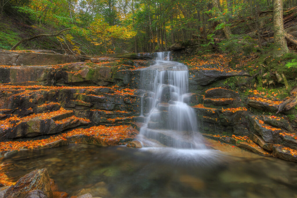Serene waterfall over layered stones with autumn leaves and lush green trees nature wallpaper