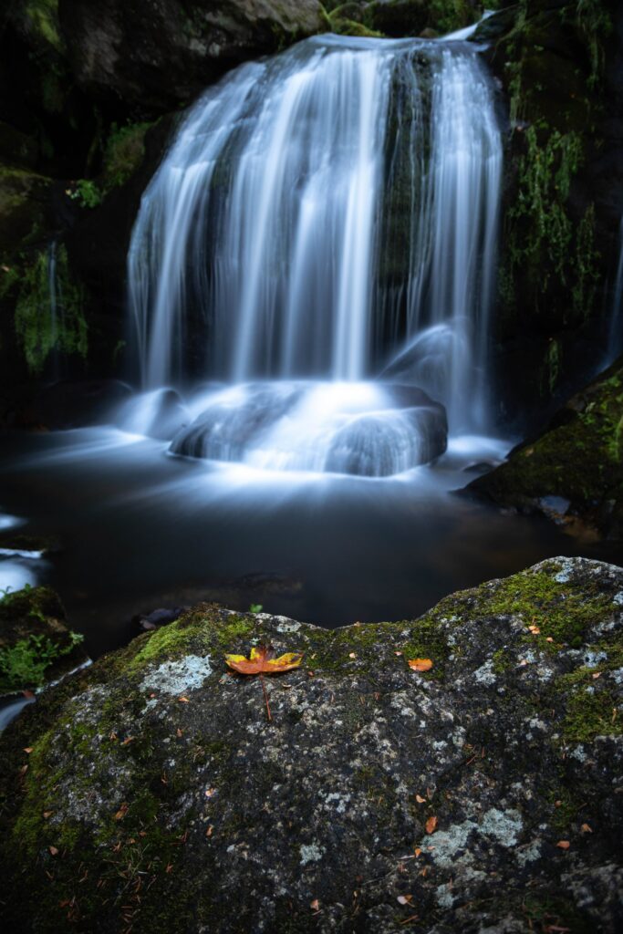 Serene waterfall cascading over mossy cliff with smooth silky water and lush green foliage background Wallpaper