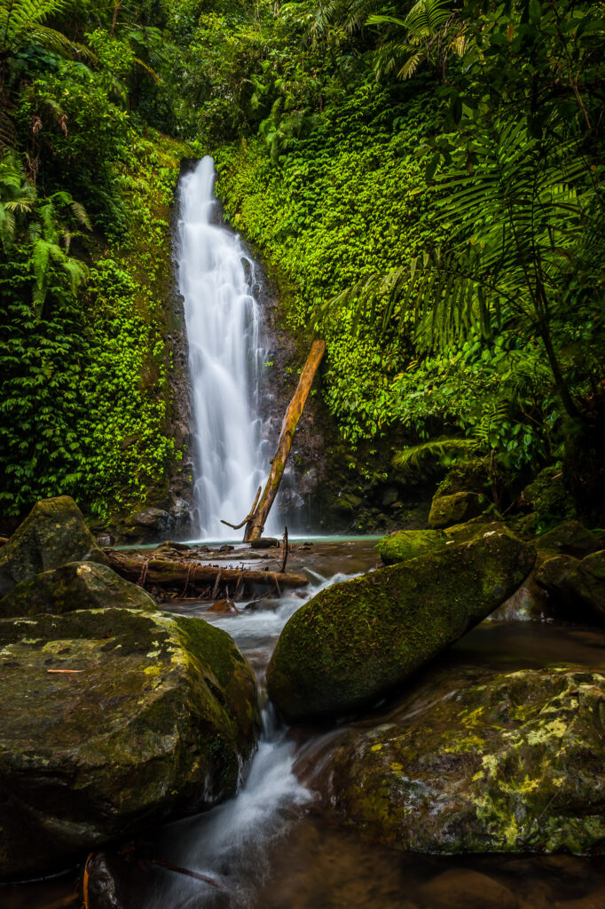 Serene waterfall flowing over mossy rocks surrounded by lush green plants in tranquil nature Wallpaper