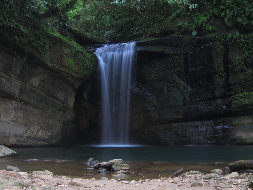Serene waterfall flowing over mossy stones surrounded by lush greenery and deep blue tones Wallpaper