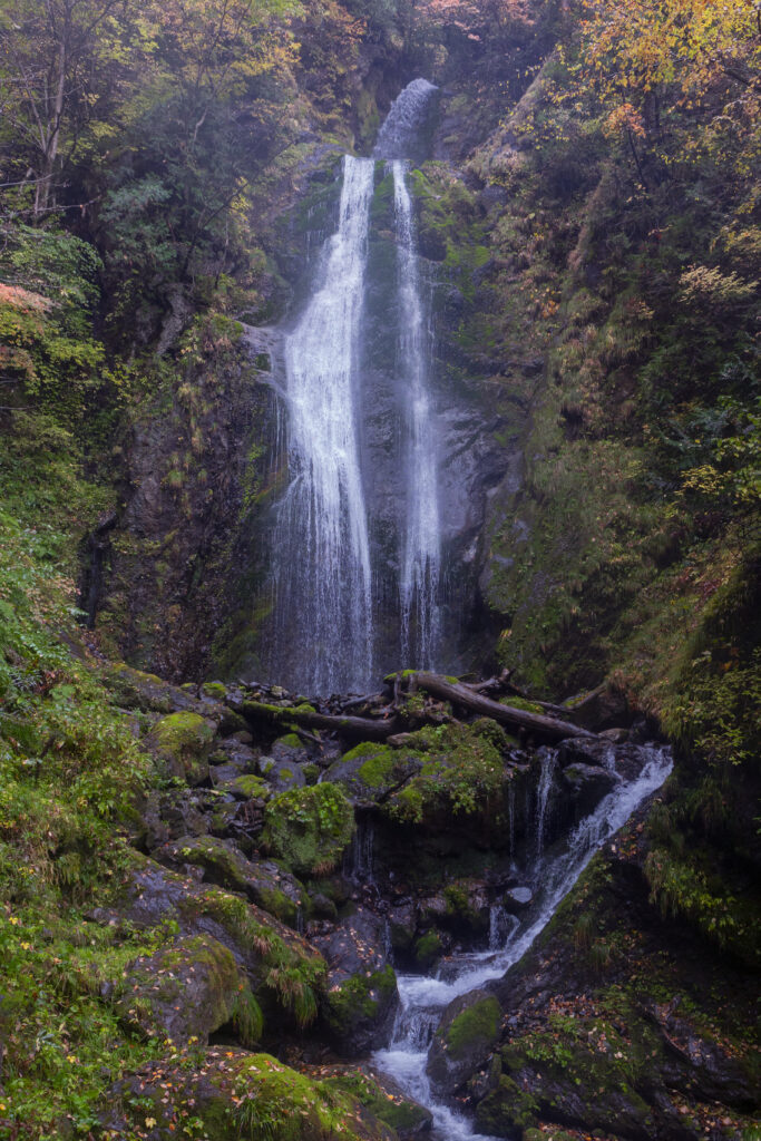 Serene waterfall cascading over mossy rocks with lush greenery and vibrant autumn foliage background Wallpaper