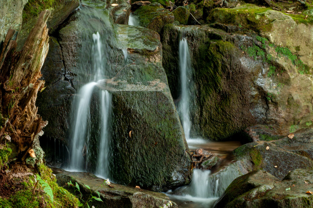 Small waterfall over mossy stones surrounded by lush greenery natural serene nature wallpaper