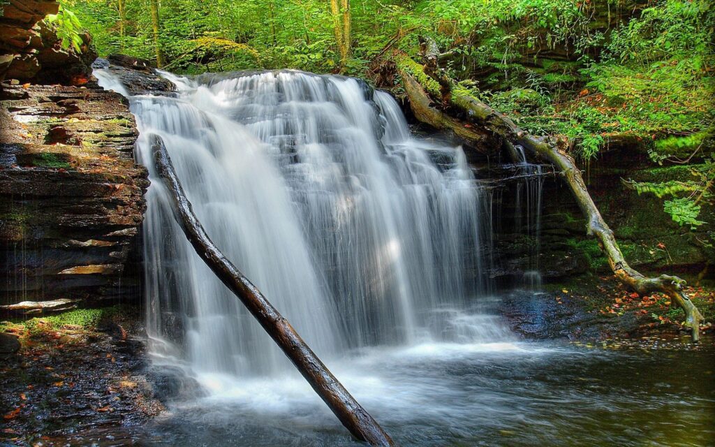 Tranquil waterfall over mossy rocks flowing into river surrounded by lush green forest wallpaper background