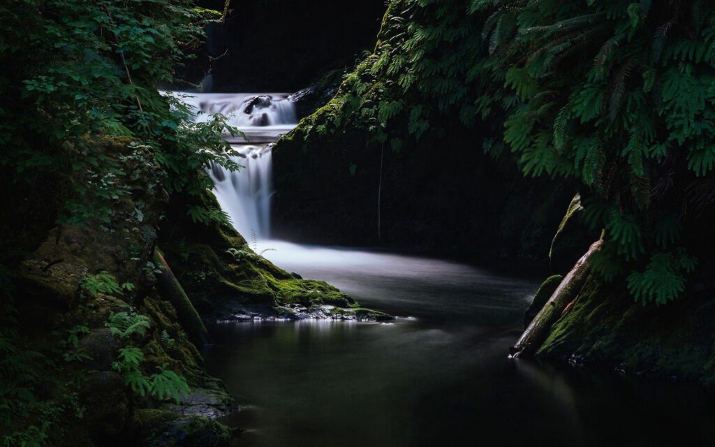 Tranquil waterfall over mossy rocks surrounded by green ferns in a peaceful forest scene wallpaper
