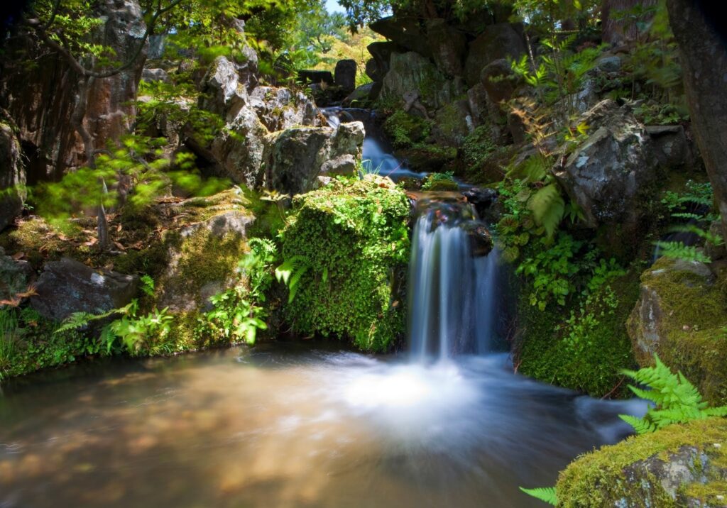 Serene waterfall over mossy rocks in lush greenery with sunlight creating peaceful oasis Wallpaper