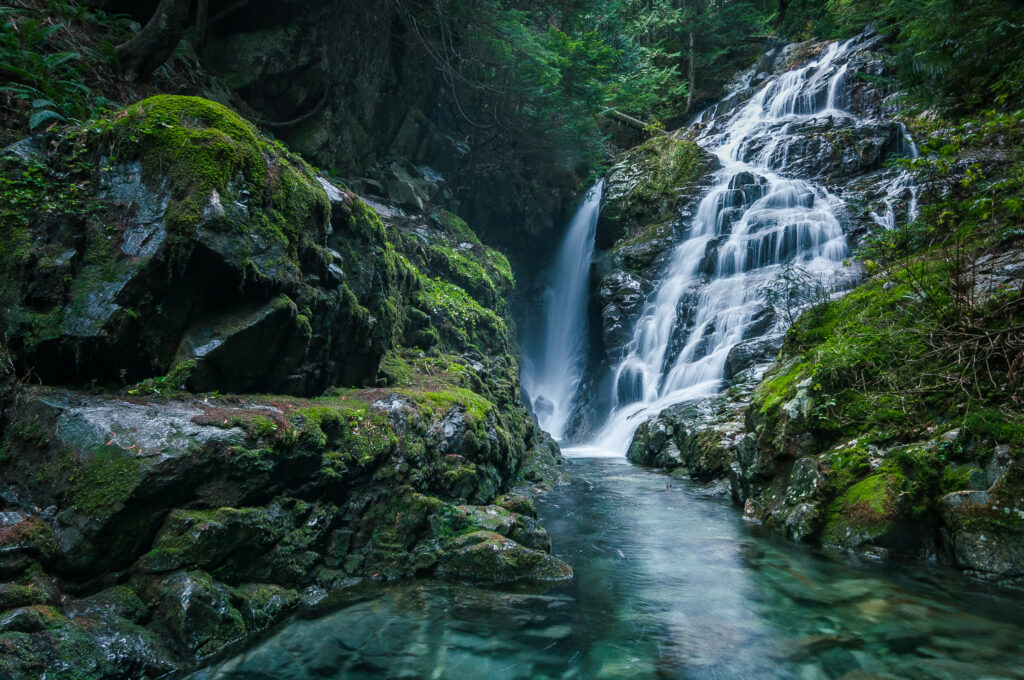 Serene waterfall over mossy rocks flowing into clear river surrounded by lush green forest wallpaper