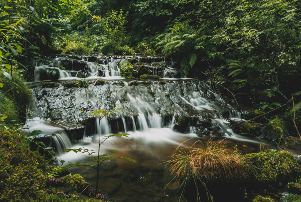Serene waterfall cascading over mossy rocks surrounded by lush green trees and vibrant foliage Wallpaper