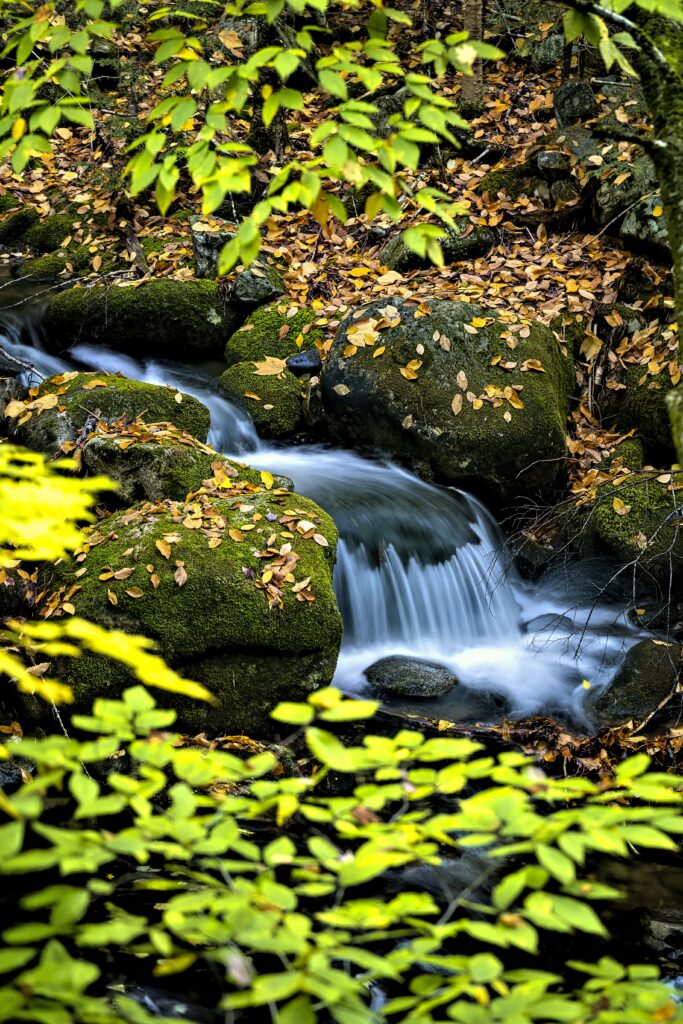 Photorealistic waterfall flowing over mossy rocks with autumn leaves and a peaceful forest stream Wallpaper
