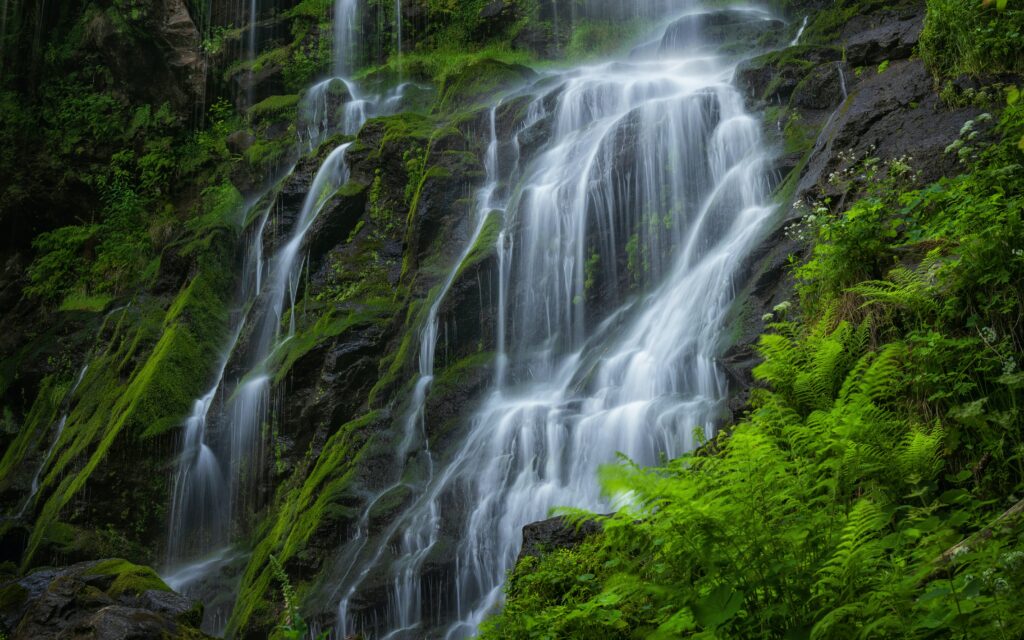 Realistic waterfall cascading over mossy rocks surrounded by vibrant ferns and lush greenery Wallpaper
