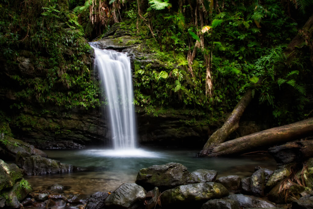 Serene waterfall over mossy rocks into clear pool surrounded by lush green foliage nature wallpaper