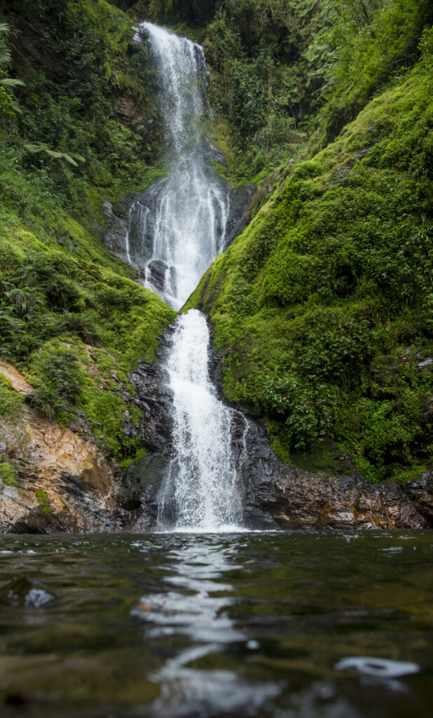 Serene waterfall cascading over mossy rocks into clear river surrounded by lush green foliage Wallpaper