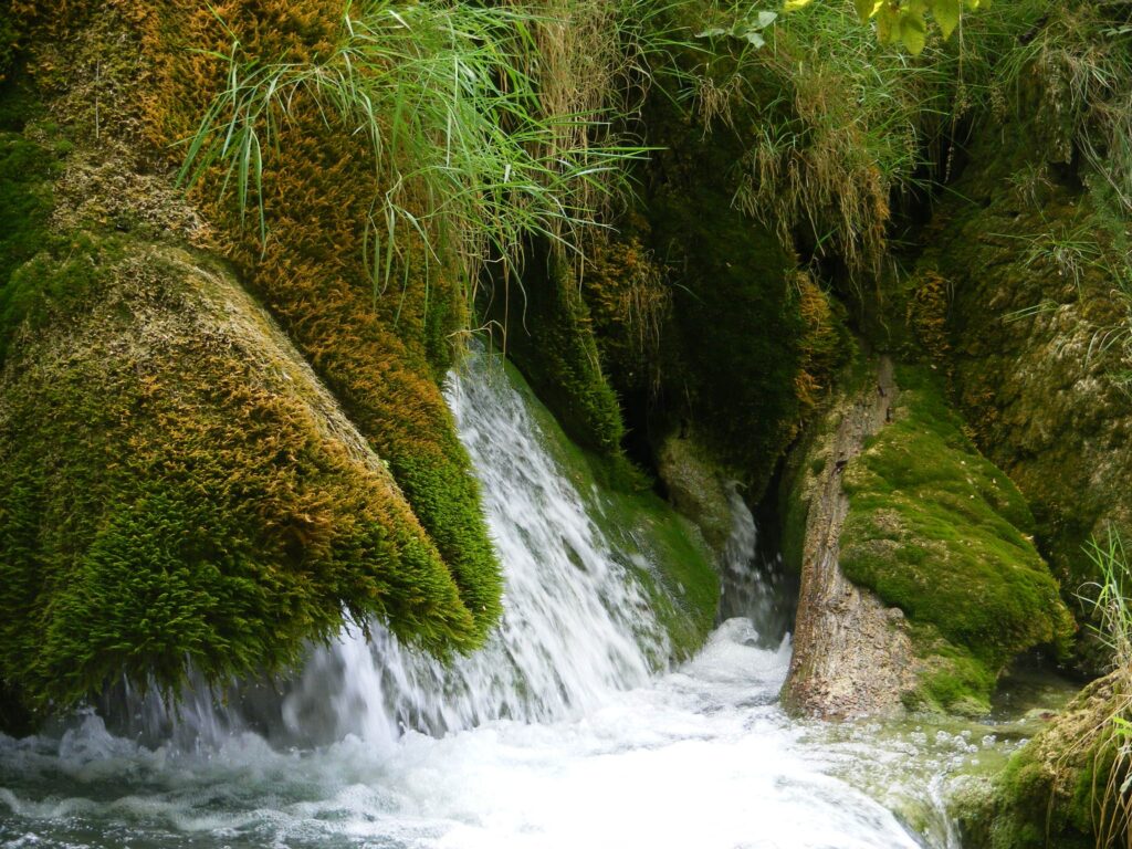Serene waterfall over mossy rocks with clear stream surrounded by lush green vegetation wallpaper