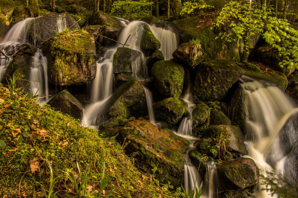 Serene waterfall over mossy stones with lush green grass and vibrant foliage background wallpaper