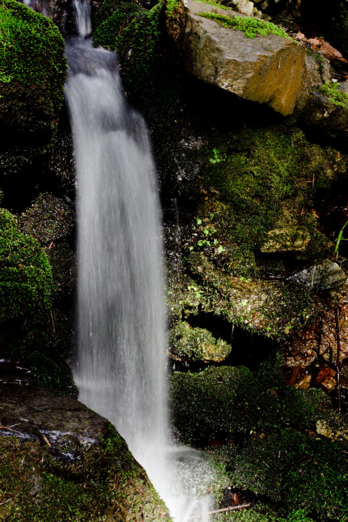 Serene waterfall over mossy stones in lush green forest nature wallpaper background