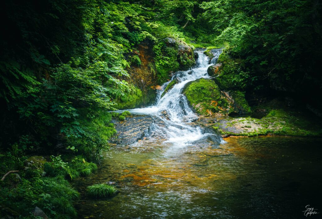 Serene waterfall over mossy stones flows into clear river surrounded by lush green forest foliage Wallpaper