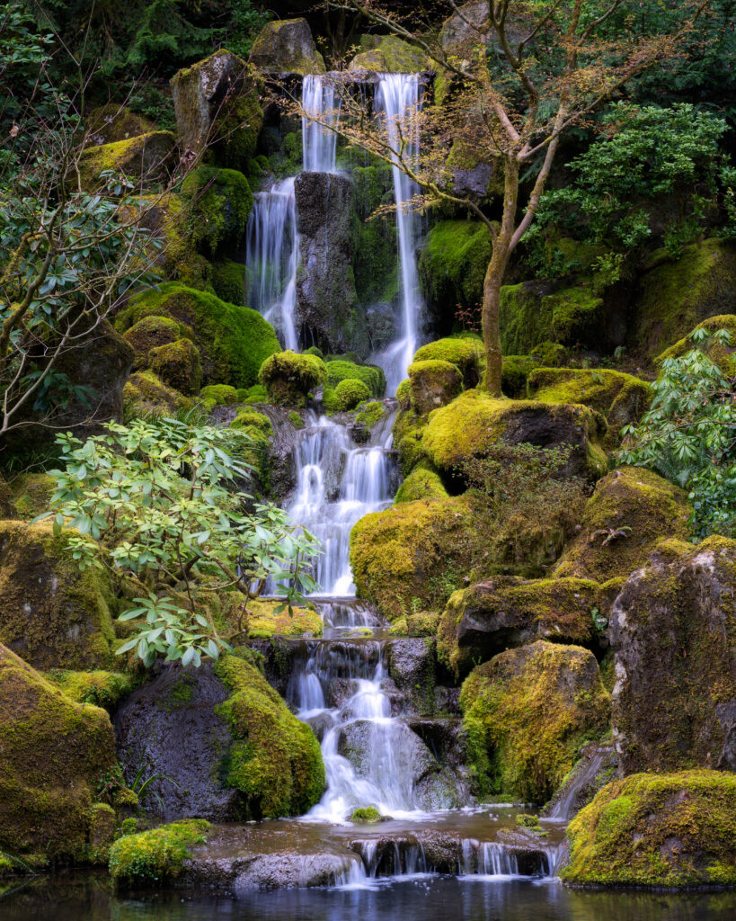 Serene waterfall over mossy stones surrounded by lush green trees in peaceful forest landscape Wallpaper