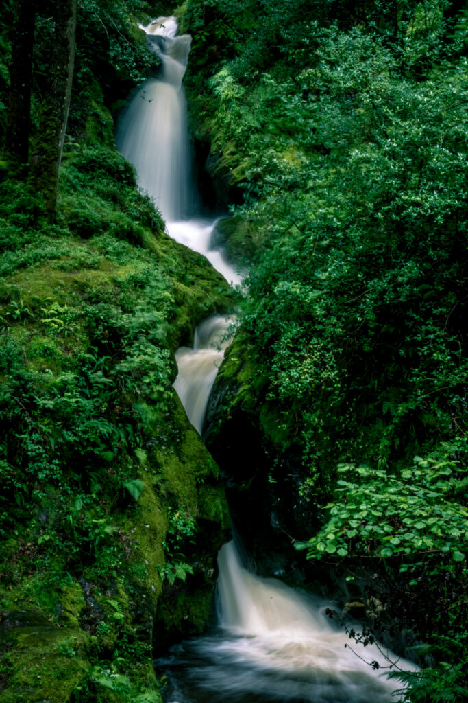 Serene waterfall flowing over mossy stones surrounded by lush green forest and vibrant foliage Wallpaper