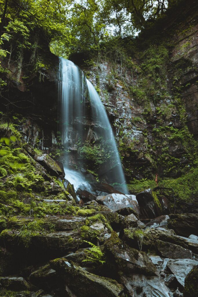 Serene waterfall cascading over mossy stones with vibrant green ferns and lush forest foliage Wallpaper