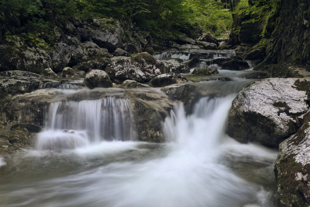 Serene river flowing over mossy stones with gentle waterfall surrounded by lush green foliage Wallpaper
