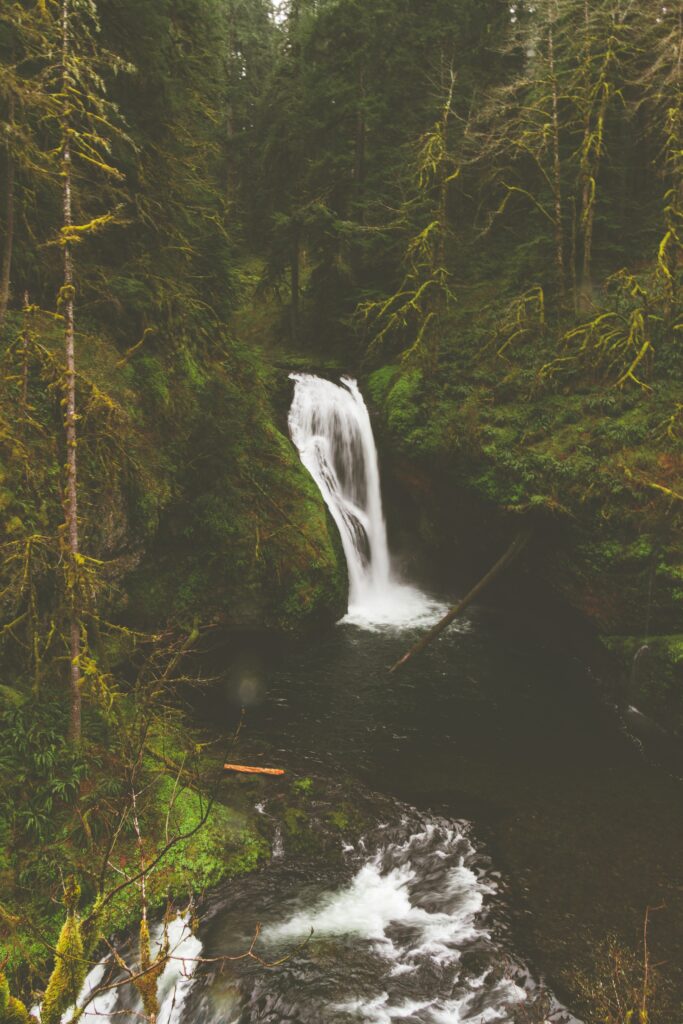Serene waterfall cascading over rocks into a tranquil stream with moss and lush forest greenery Wallpaper