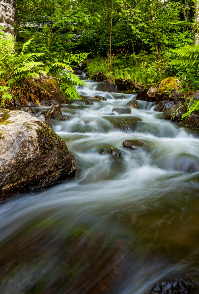 Serene waterfall cascading over stones with lush green ferns and gentle flowing stream wallpaper
