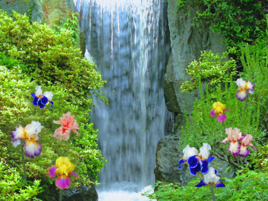 Tranquil Waterfall Wallpaper: Lush Greenery & Vibrant Pansies