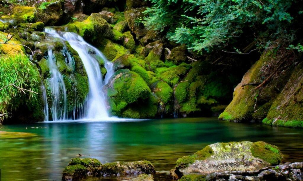 Tranquil Waterfall Wallpaper: Lush Greenery & Crystal Pool Background