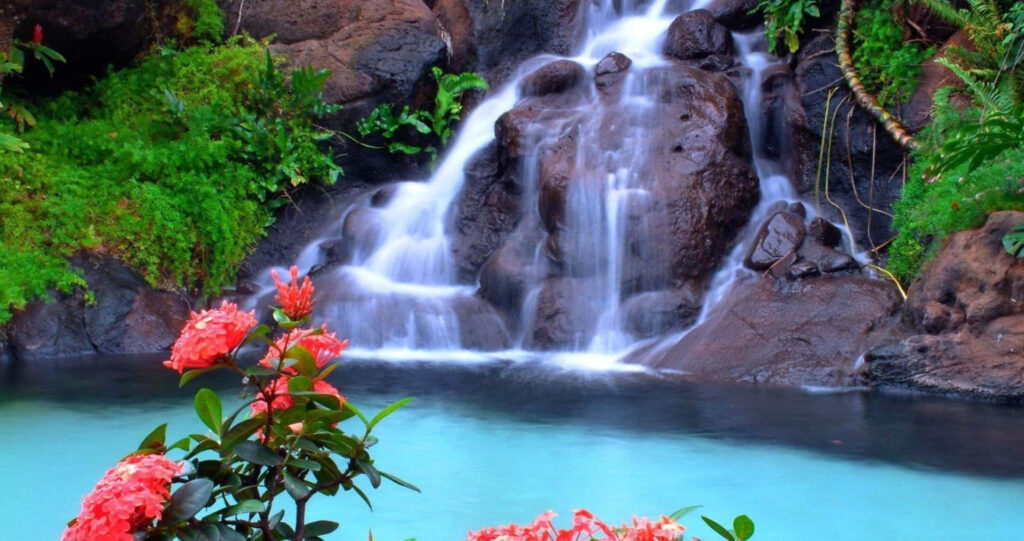 Serene Waterfall & Jungle Blooms: Refreshing Desktop Wallpaper