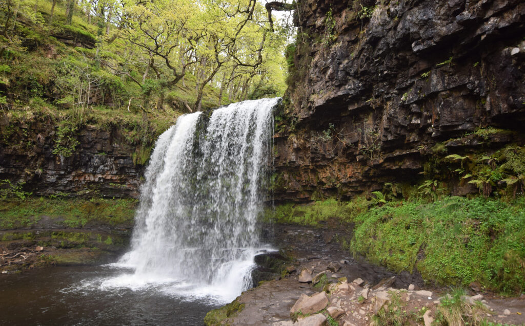 Serene waterfall cascading over rocky cliff with lush green trees and vibrant moss wallpaper