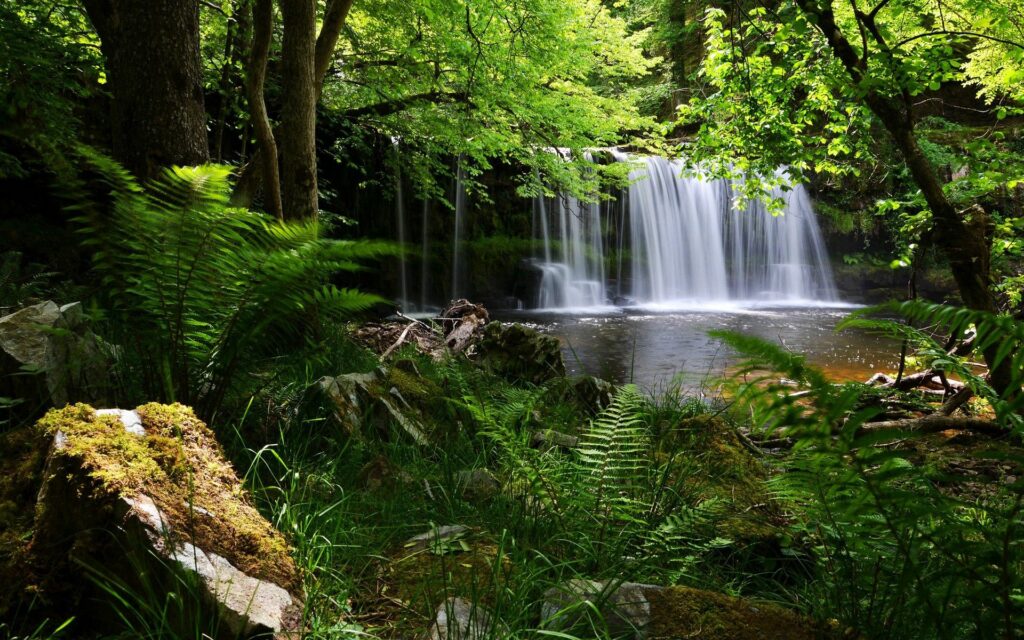 Serene waterfall cascading into a tranquil pool surrounded by lush green forest foliage wallpaper