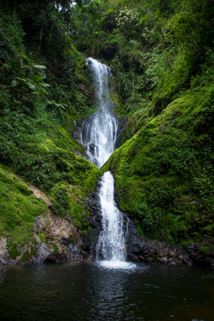 Cascading waterfall over mossy rocks in lush green forest with clear flowing stream wallpaper background