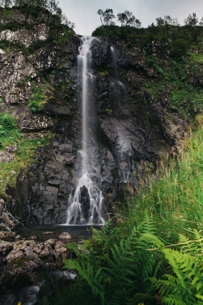Serene waterfall cascading over rocks surrounded by lush green ferns and vibrant foliage wallpaper