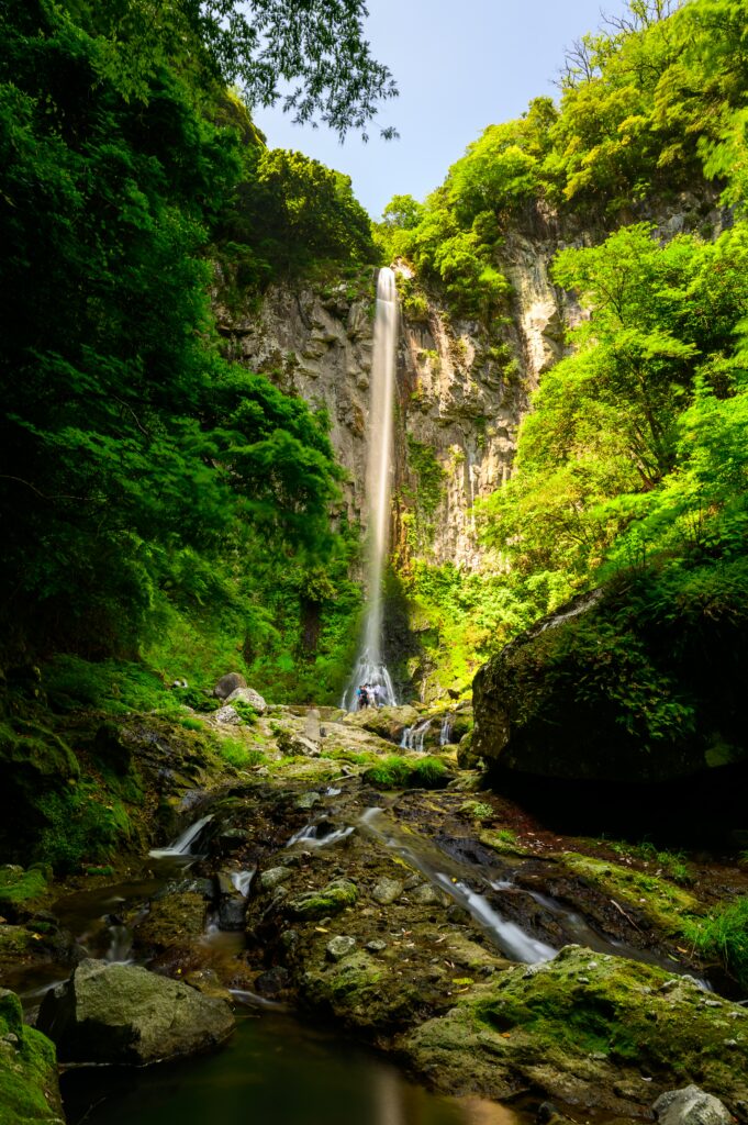 Tall waterfall cascading over cliff surrounded by lush greenery and mossy rocks in sunlight Wallpaper