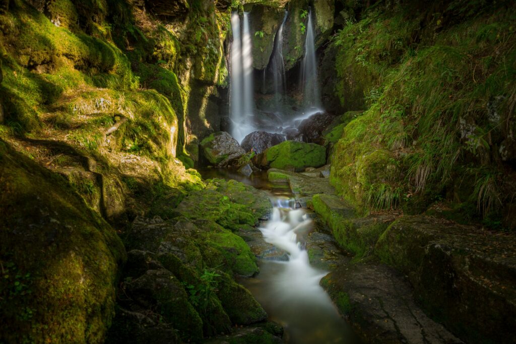 Serene waterfall cascading over mossy stones into a calm stream in lush green forest landscape Wallpaper