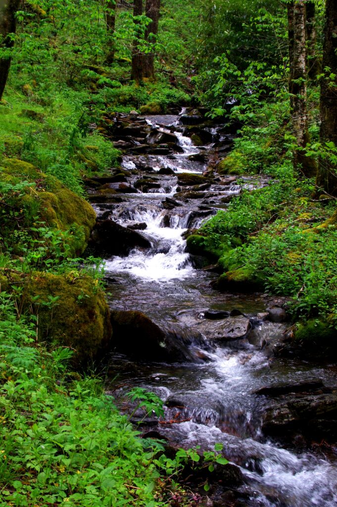 Tranquil waterfall cascading over rocks surrounded by lush green moss tall trees forest wallpaper