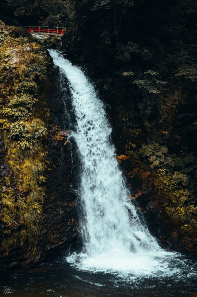 Powerful waterfall over rugged cliff with lush greenery and vibrant red Japanese bridge above Wallpaper