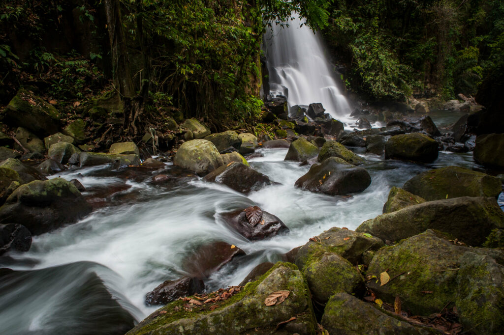 Serene waterfall cascading over mossy rocks in vibrant forest with lush trees and flowing stream Wallpaper
