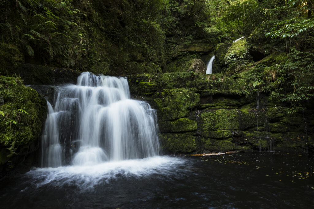 Serene waterfall cascading over mossy rocks in lush green forest with vibrant foliage background Wallpaper