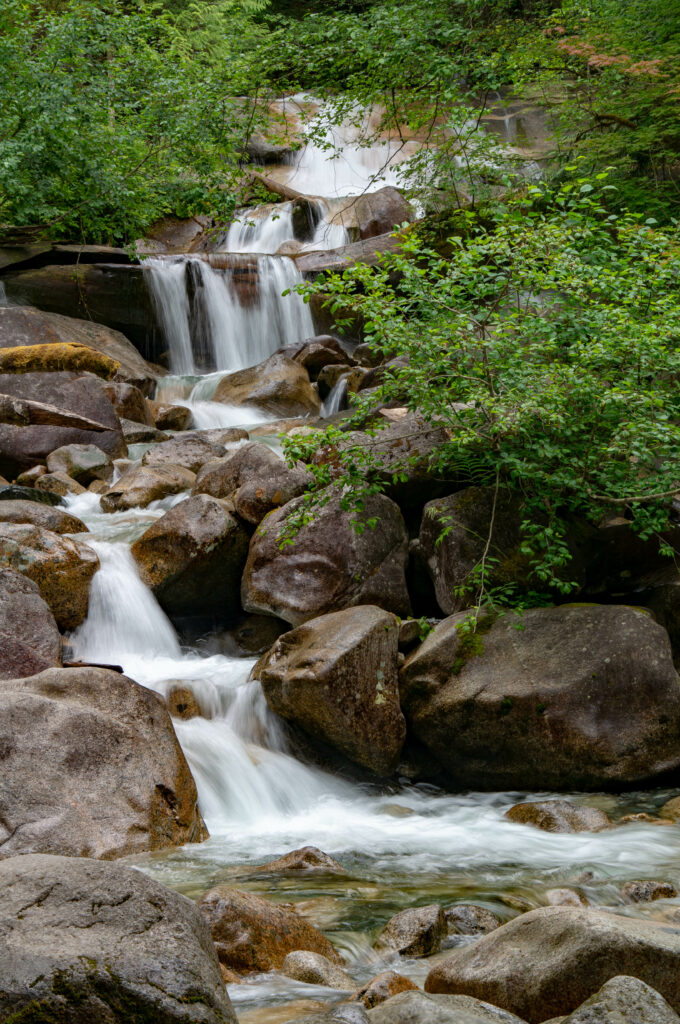 Serene waterfall cascading over smooth stones surrounded by lush green foliage wallpaper background