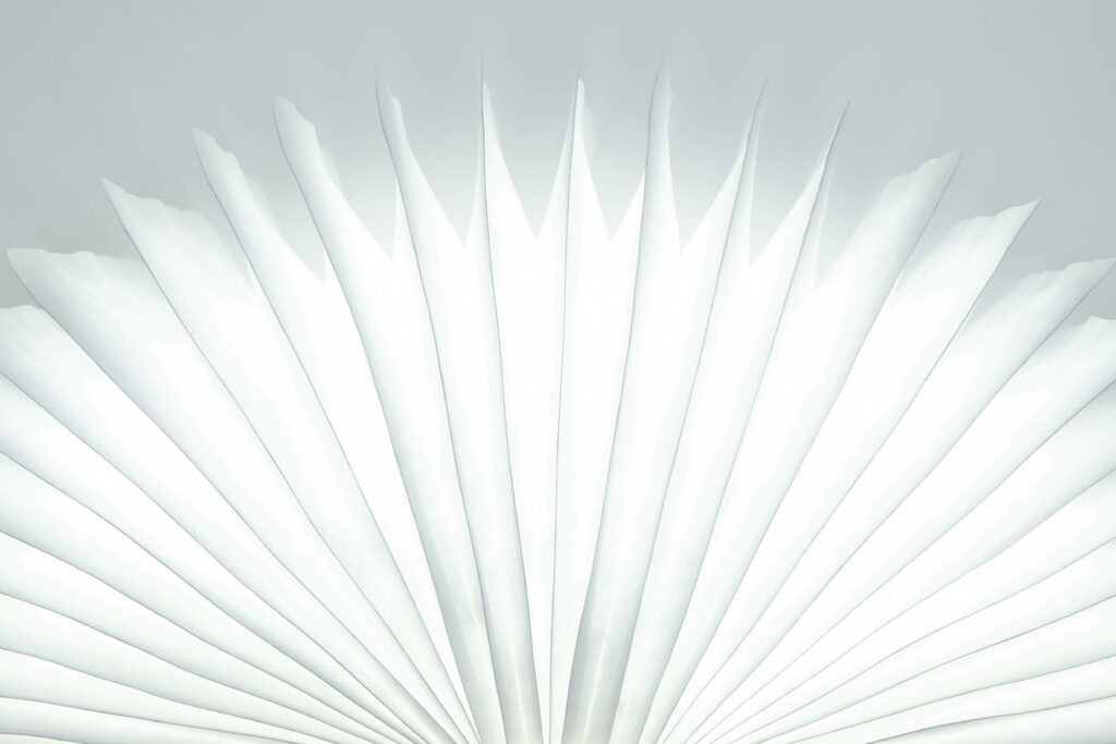 Serene White Abstract Feather Wallpaper on Light Gray Background