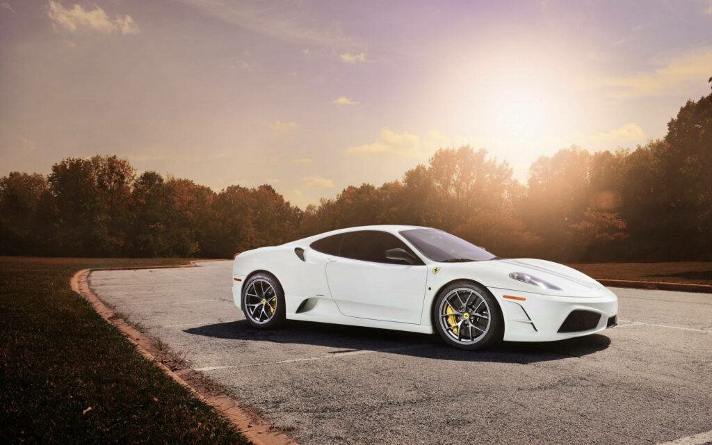 Tranquil Wilderness: A minimalist white Ferrari gracing a forested road Wallpaper