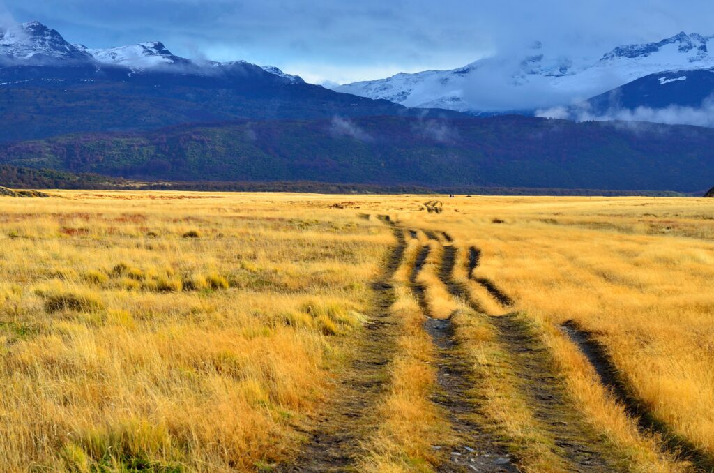 Winding path through golden grass leading to snow-capped mountains under bright blue sky wallpaper