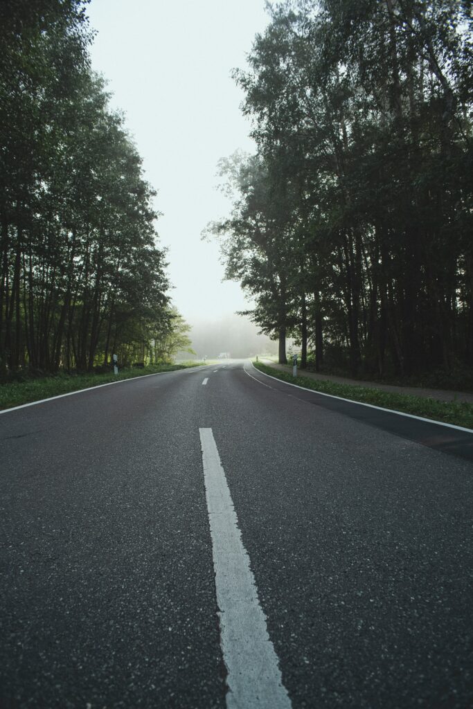 Winding asphalt road through tall lush trees in misty forest peaceful scenic landscape wallpaper